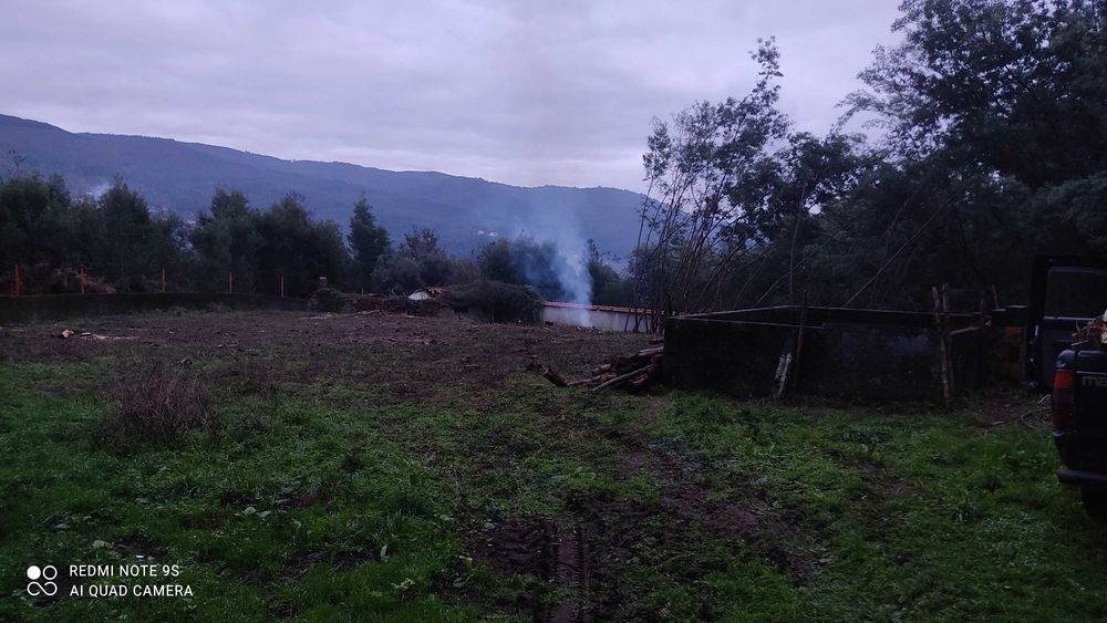 Limpeza e poda de árvores508332537462149125