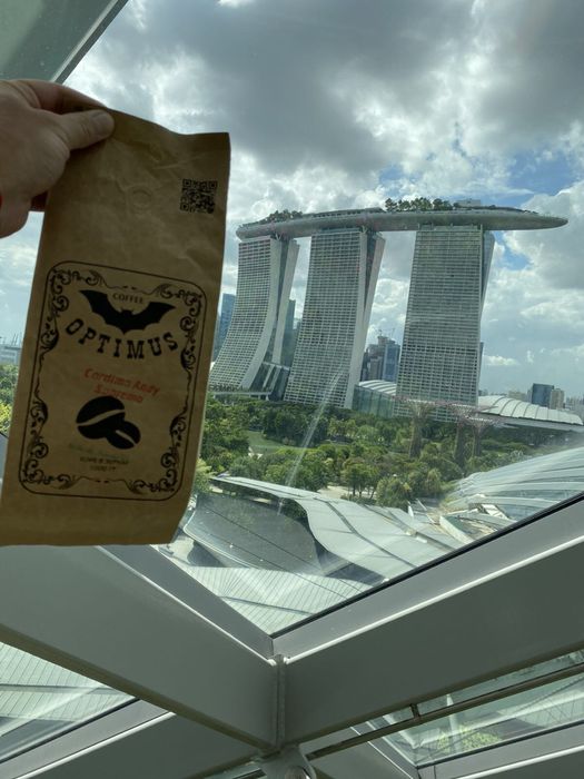 Кава зернова,свіжеобсмаженна кава,кофе зерновой , зерно ,свежая обжарк