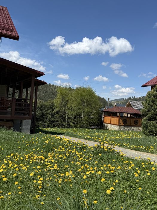 Здається котедж в Поляниці(Буковель)