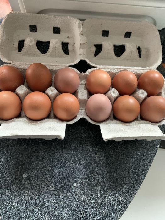 Ovos caseiros ( dúzia)