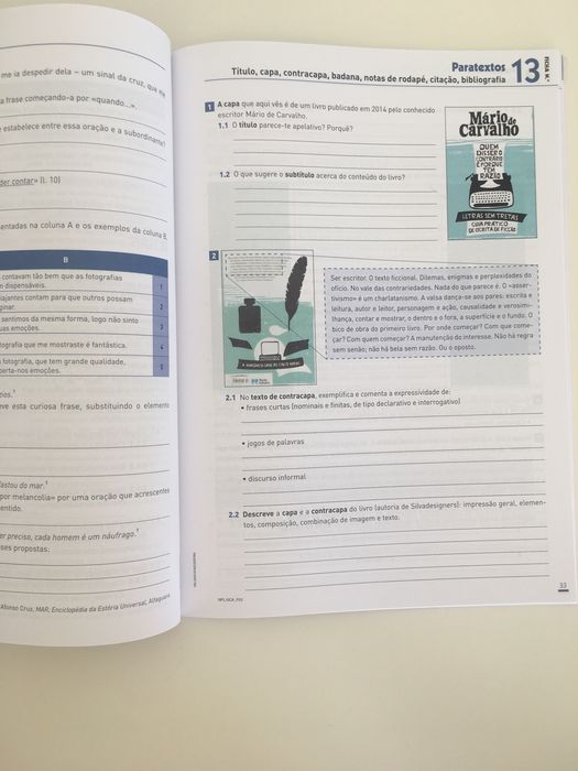 Plural - Caderno do aluno 10