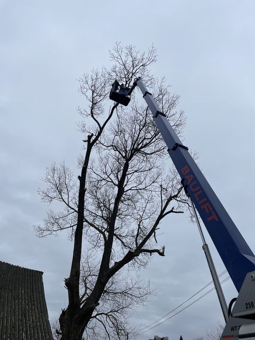 Wynajem Podnośnika Koszowego z Operatorem