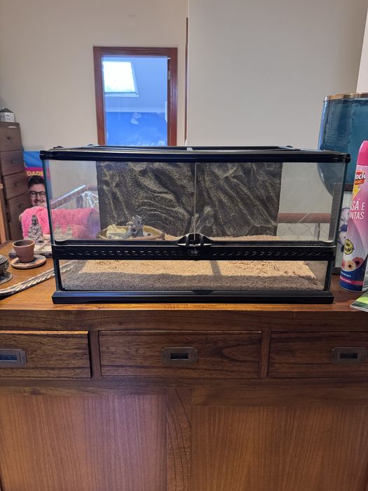 Terrario em excelente estado para repteis e anfíbios.