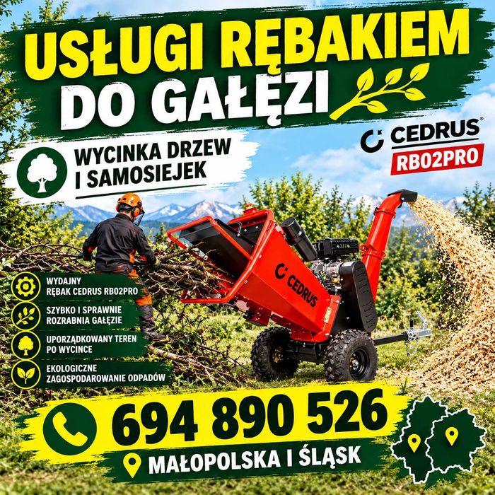 USŁUGI RĘBAKIEM DO GAŁĘZI – wycinka drzew i samosiejek śląsk i małopolska