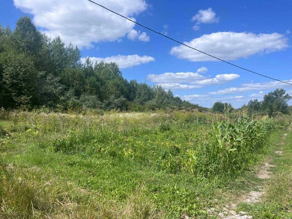 Продаж земельної ділянки. Видрові Доли.