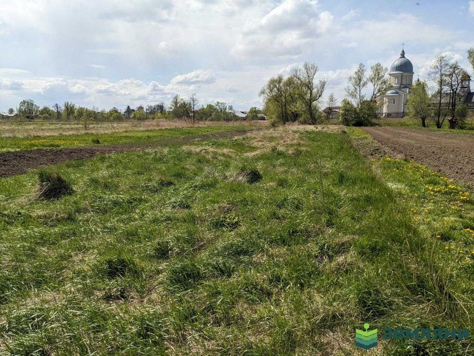 Продається ділянка  10,32 соток с/г в Підпечерах (5)