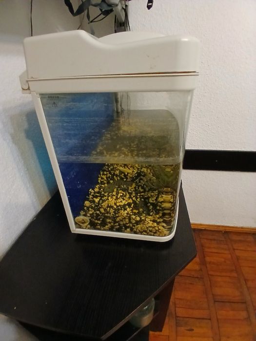 Продам аквариум б/у