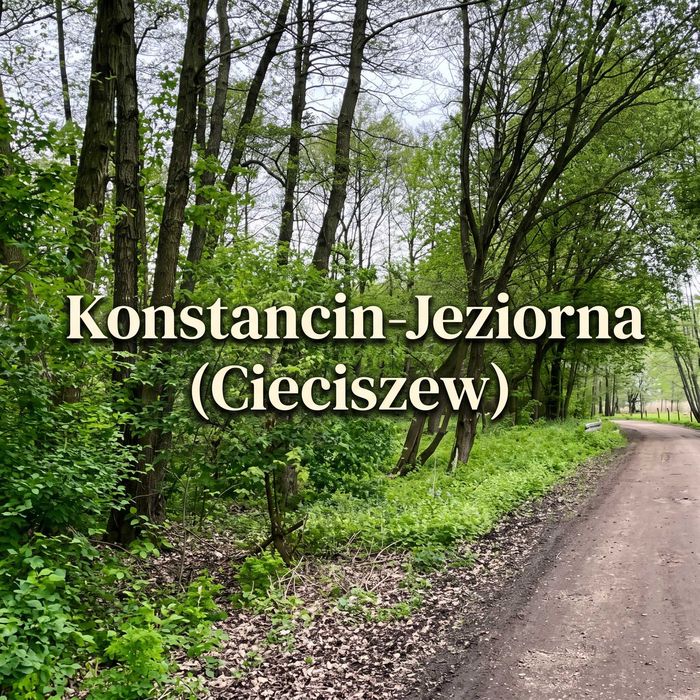Działka inwestycyjna 2937 m², blisko natury, 30 minut od Warszawy