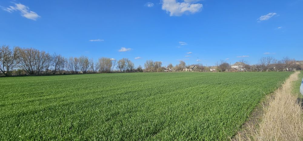 Продаж будинку с Савинці,вихід до ставка