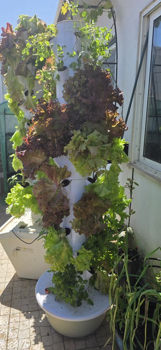 Horta hidroponica vertical