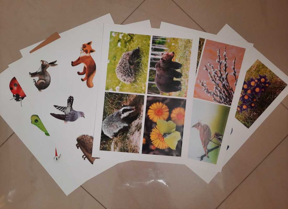 Pobawmy się razem - inscenizacje 4 latki - 12 plansz A3 w dużej teczce