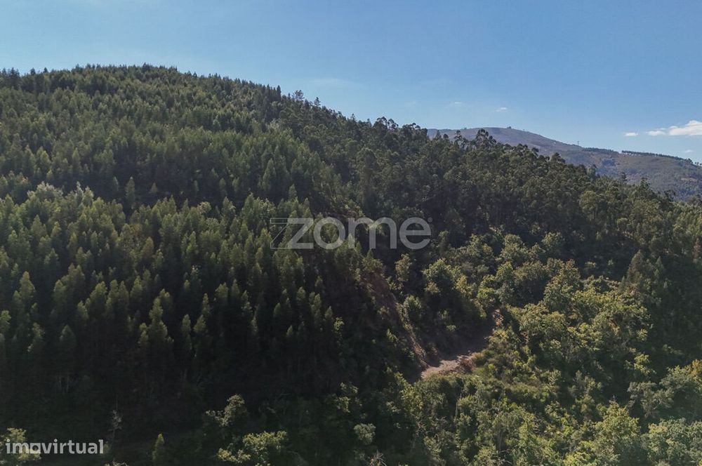 7 Terrenos Rústicos em Folques, Arganil