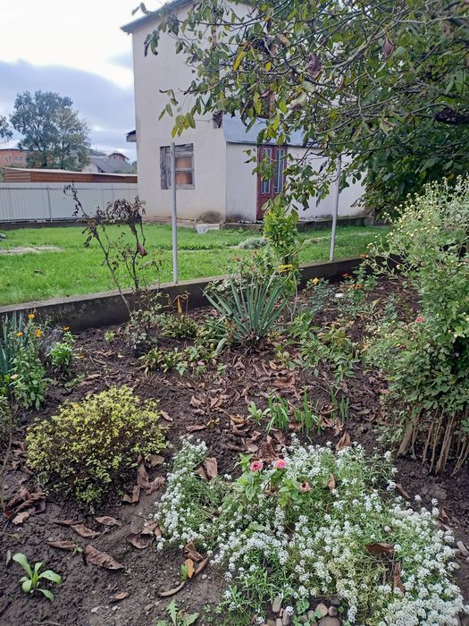 Продаж будинку з земельними ділянками м.Тисмениця