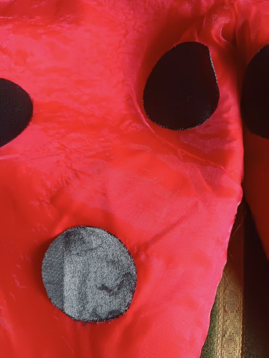 Przebranie za biedronkę spodenki