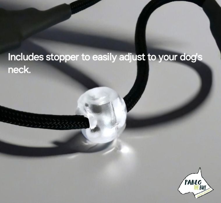 Coleira trela anti puxão slip lead cão