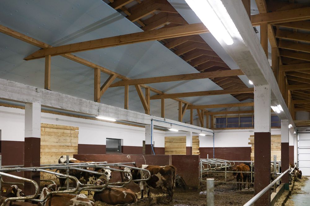 Płyta Ocieplana Ocieplająca do Kurnika Obory Chlewni Styrodur XPS AGRO