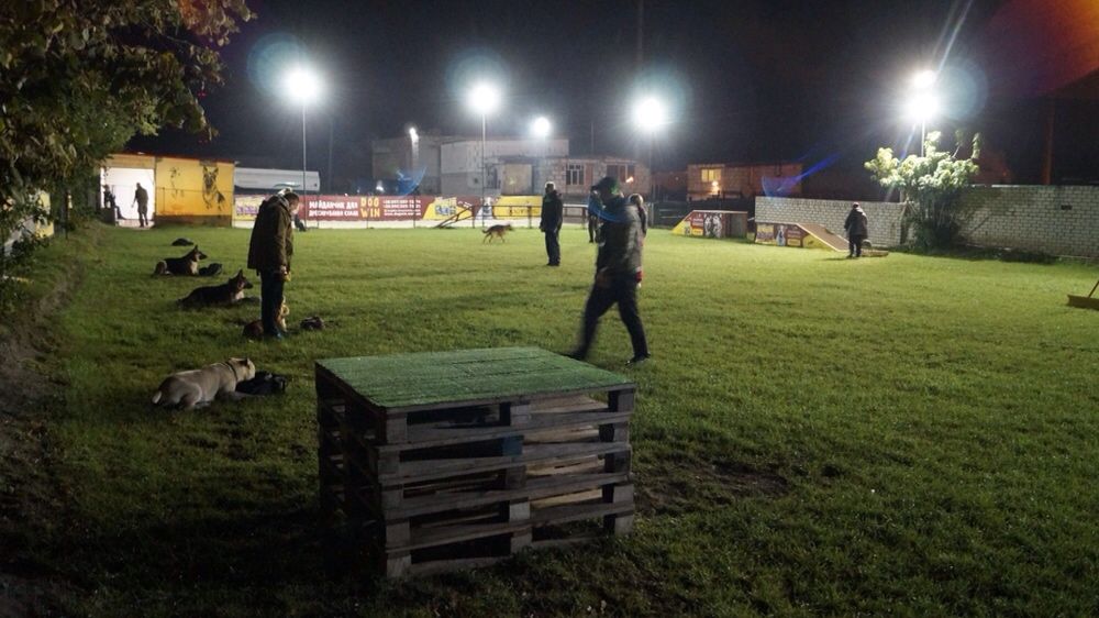 Клуб DogWin Площадка закрытая оборудованая Киев Дрессировка собак