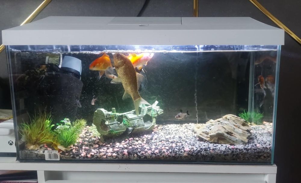 Akwarium AQUAEL zestaw