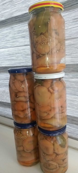 Rydze marynowane 5× 400 ml