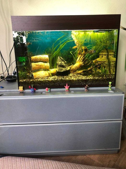 Продам акваріуми прямокутні 24-125л за доступними цінами