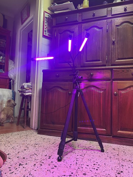 Tripe de luzes varias cores