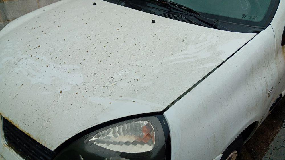 Capot RENAULT Clio II (BB0/1/2_, CB0/1/2_)