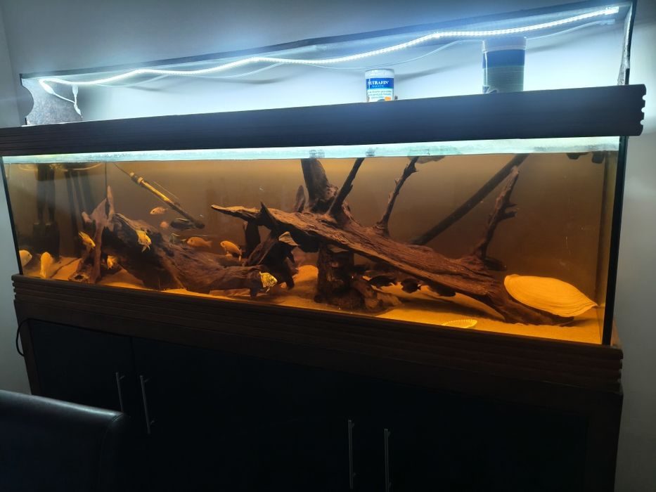 Vende ou troca troncos