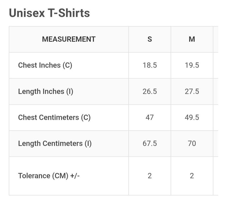 Pink Floyd Koszulka Carnegie Hall Poster Unisex L merge