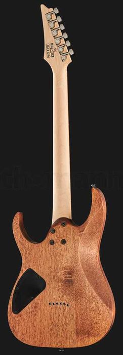 Ibanez RG421-MOL • Нова • Хіт продажів