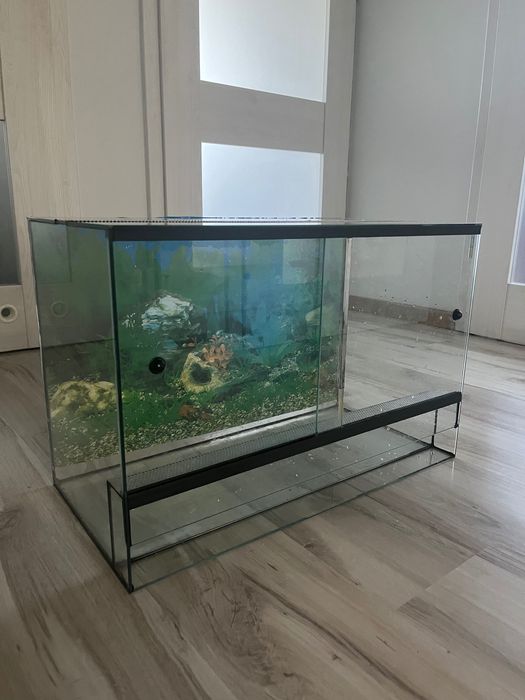 Szklane terrarium 60x30x40 cm – OKAZJA