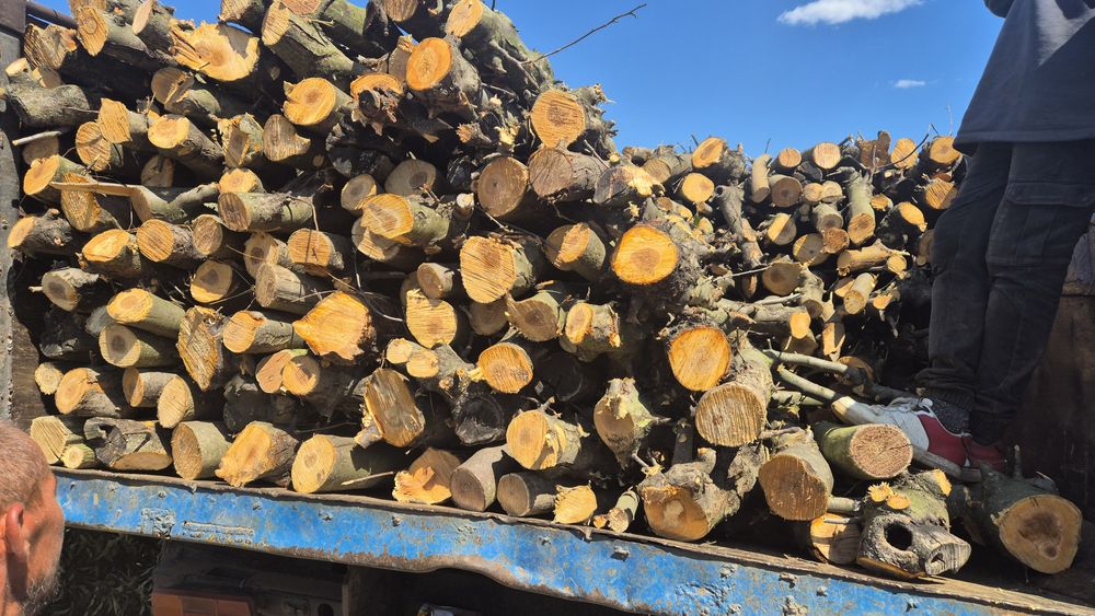 Продам дрова с доставкой.