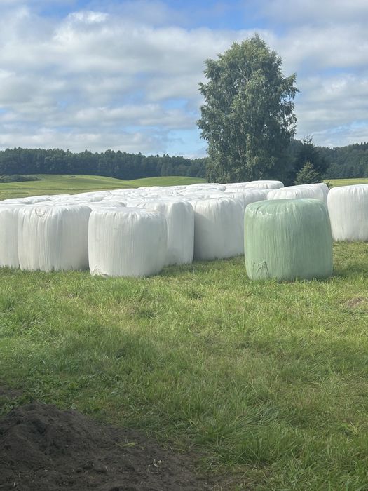 Sprzedam bele sianokiszonki 2025