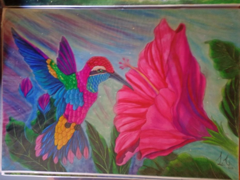 Desenhos a lápis de cor A2   40/60 cm