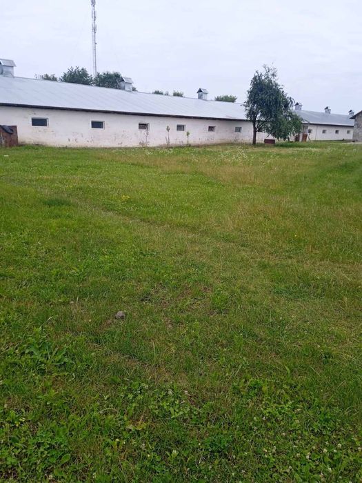 Ферма, готовий бізнес