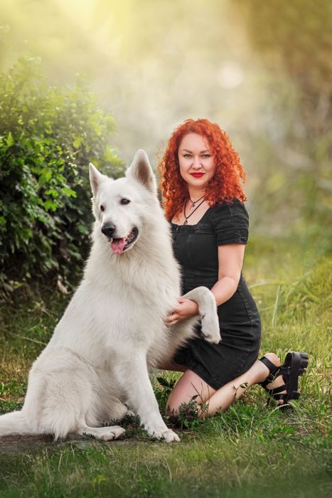 Біла швейцарська вівчарка БШВ/БШО, документи КСУ-FCI