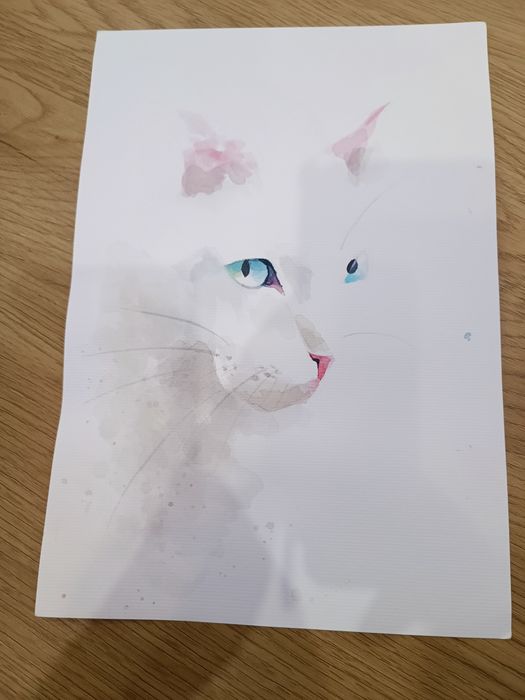 Малюнок, рисунок Кота