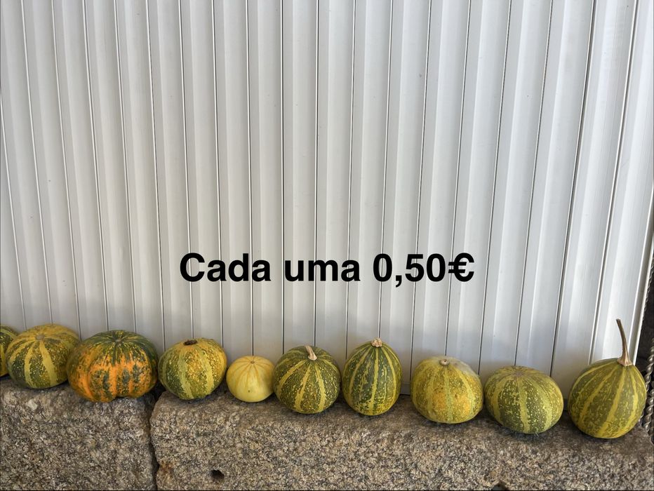 vende se aboboras e cabaças