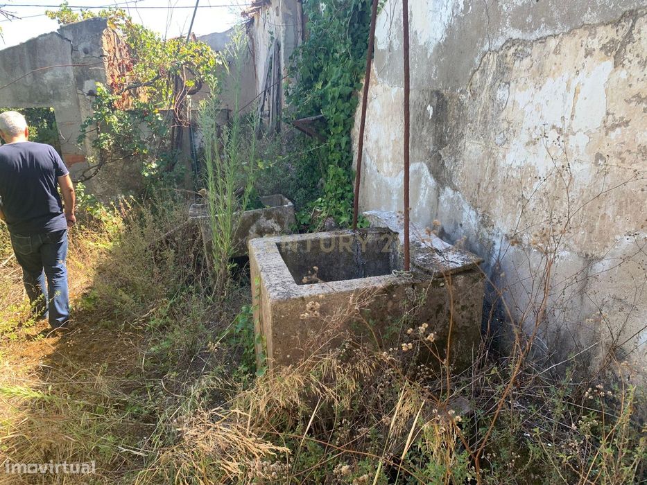 Ruína de Moradia com Potencial de Reconstrução em Poços de Baixo, Frei