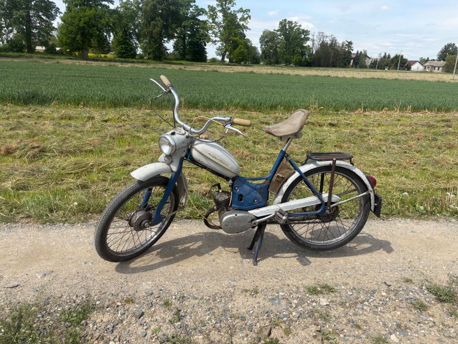 Komar