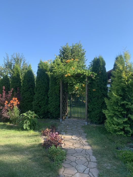 Działka ROD Grędzice Ciechanów - Widok 3