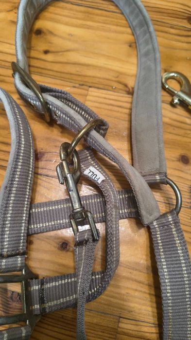 Kantar dla konia z uwiązem full