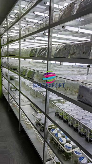 Estantes de Encaixe Metálicas p/Arquivo de Pastas / Arrumação de Caixa