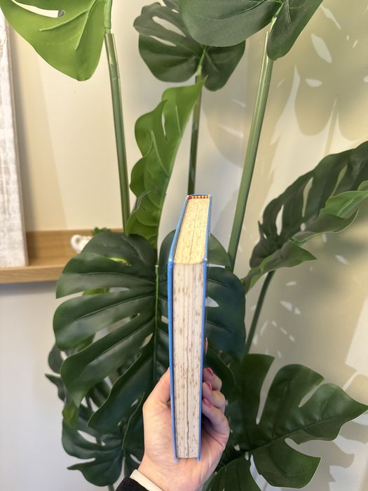 Livro de Capa dura “Asas” de Danielle Steel