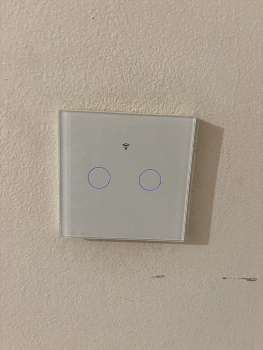 Interruptor wifi moes smart switch Botão Duplo434370142589440001