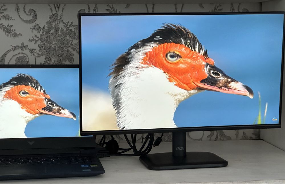 Монітор 24.5" MSI PRO MP251L E2 (120Hz / IPS) – Стан нового, на гарантії!
