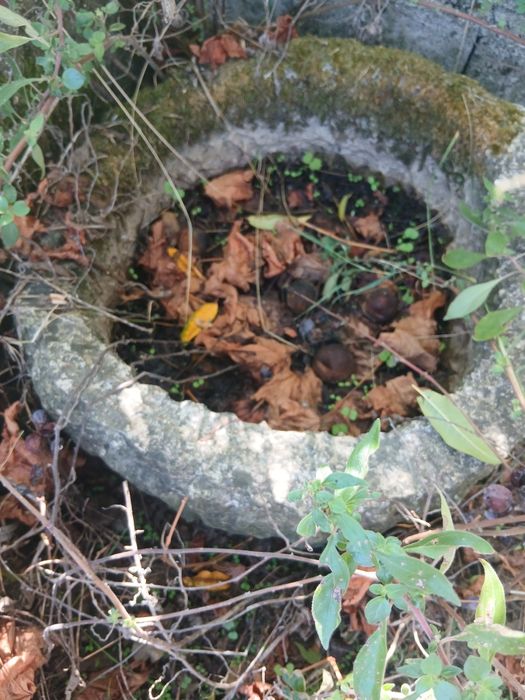 Pias de pedra antigas em bom estado calon