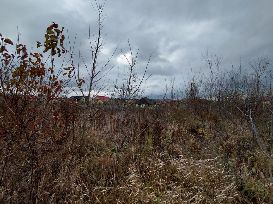 Продається земельна ділянка кленовий гай