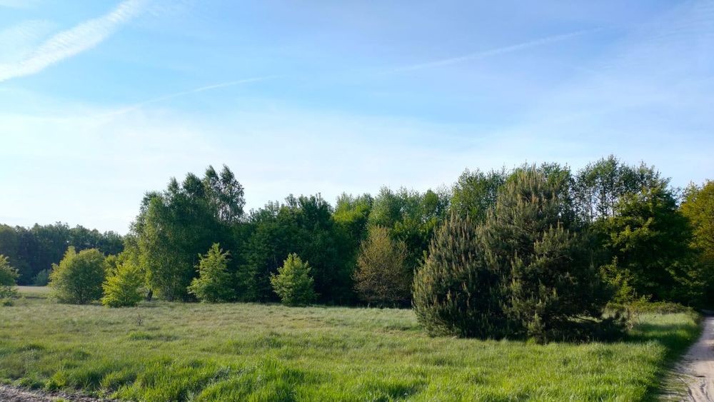 Działka na sprzedaż bez pośredników 3,8ha