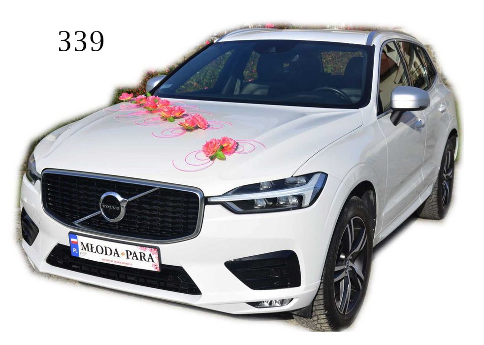 Dekoracja na samochód MONTAŻ NA PRZYSSAWKACH 339 polecamy KOLORY