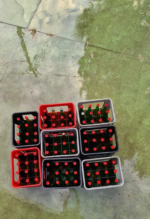 Garrafas de vidro 5 estrelas
